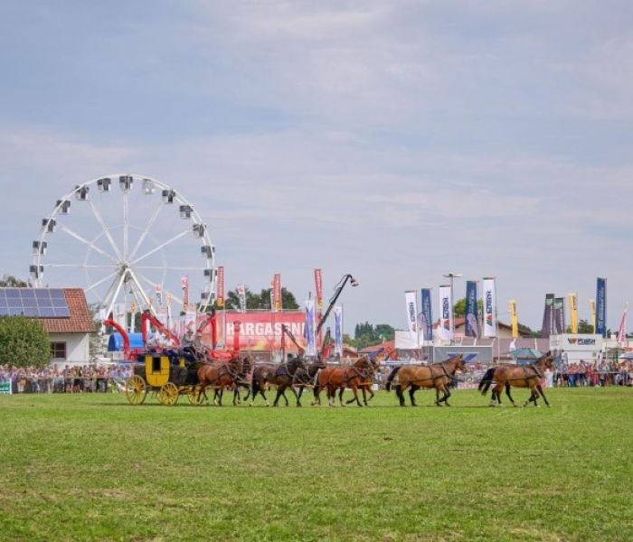 Der Zehnerzug mit Rottal-Pferden (Foto: Johann Dirschl. G&auml;ste- & Kur-Service Bad Griesbach)